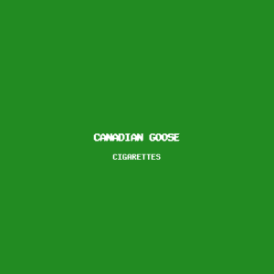 Canadian Goose